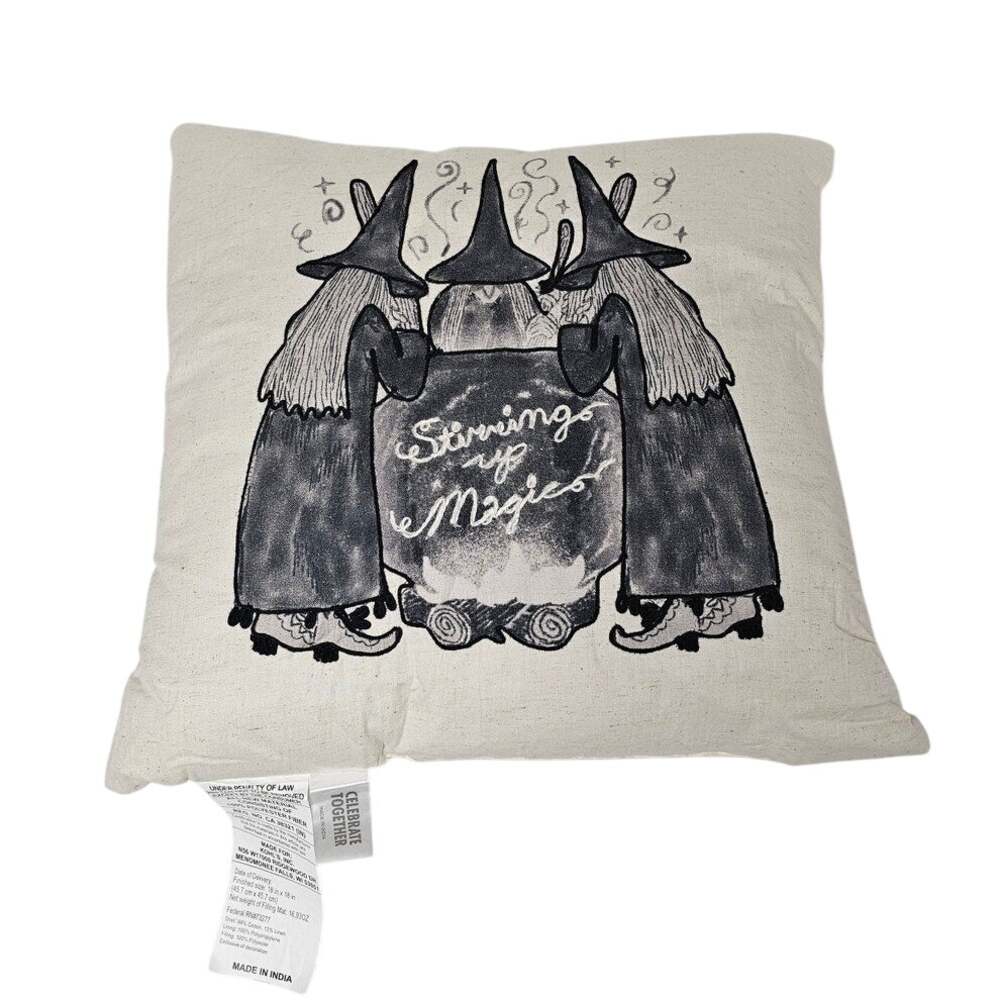 Celebrate Together Halloween Stirring Up Magic Decorative Throw Pillow 18" x 18"